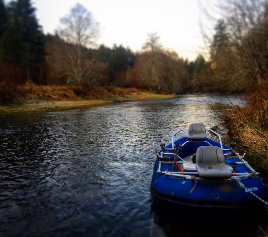 Steelhead Fishing The Pacific Northwest - Davey's World