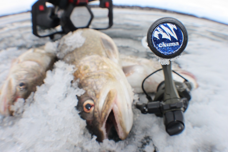 Ice Fishing Reel – TruWild Life